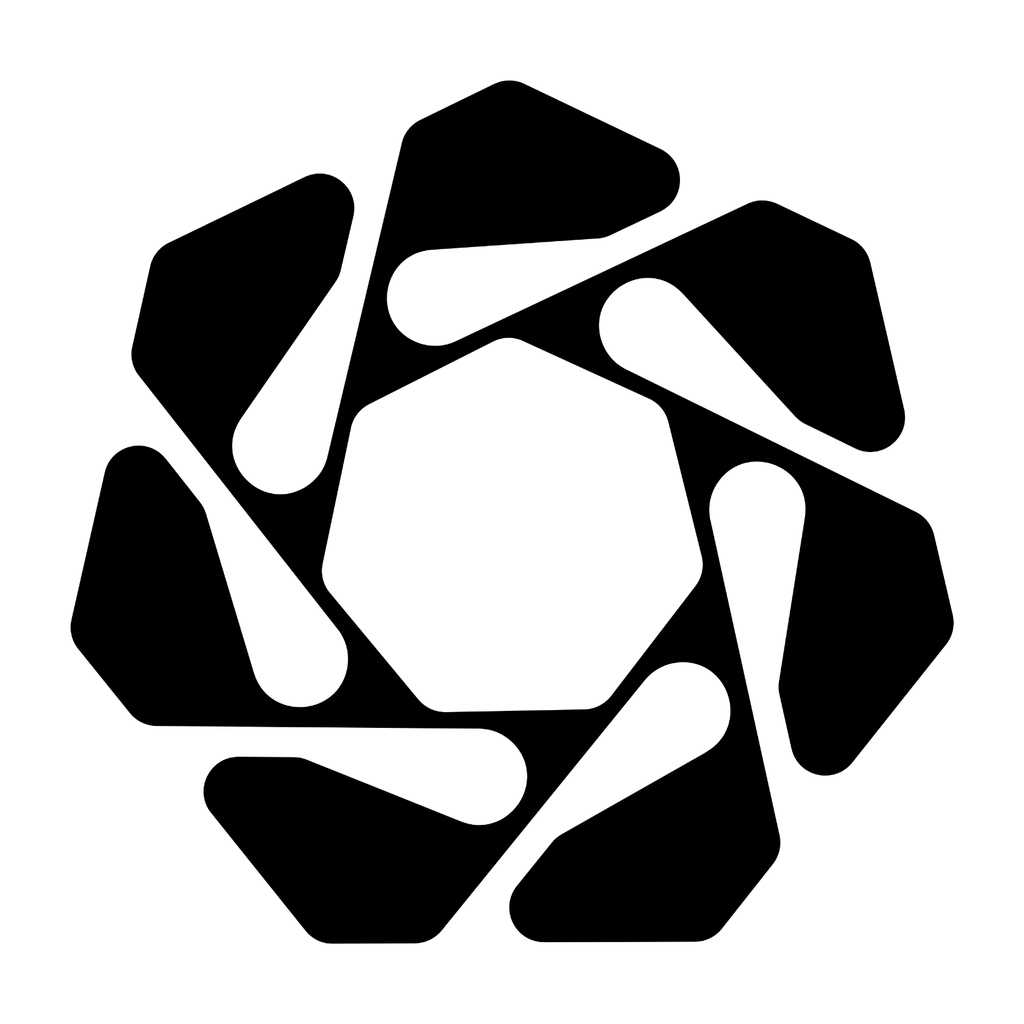 Dataliners, DATALI